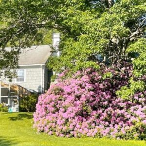 Coming Home: Mind, Body, Spirit