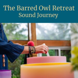 Sound Journey - June 14, 2026