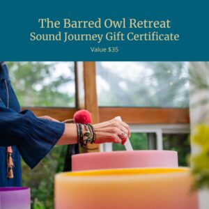 Sound Journey Gift Certificate